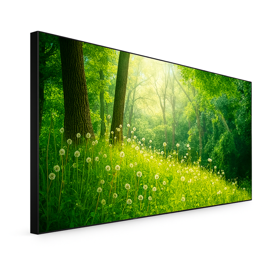 55″ LCD videozid s ultra tankim okvirom i više svjetline – MPJ55LHX18