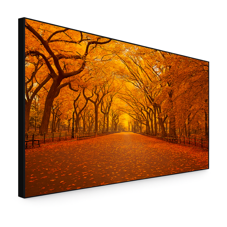 55″ LCD videozid s ultra tankim okvirom i više svjetline – MPJ55LHX18